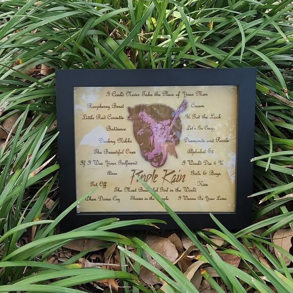 Shadowbox frame with engraved picture of Prince ( and songs )